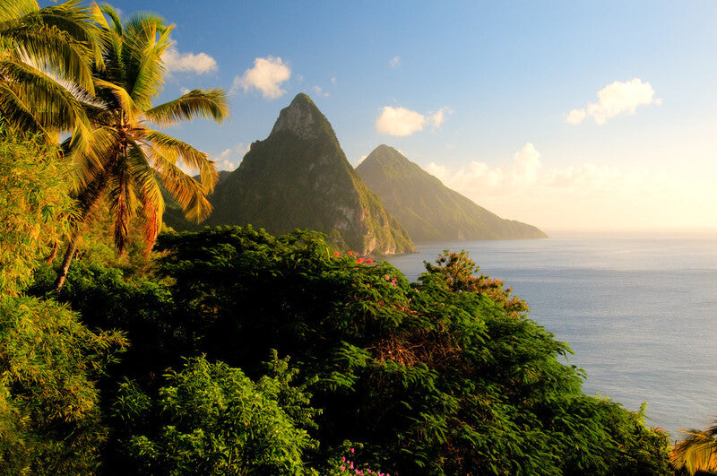Discover Paradise: Top 5 Caribbean Islands That Will Steal Your Heart
